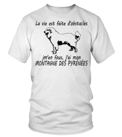 MONTAGNE DES PYRÉNÉES  - ÉDITION