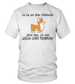 WELSH CORGI PEMBROKE - ÉDITION COLLECTOR