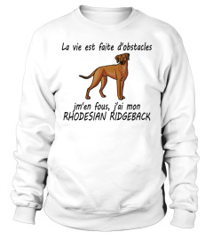 RHODESIAN RIDGEBACK  - ÉDITION COLLECTOR