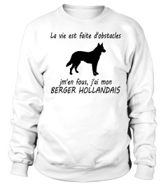BERGER HOLLANDAIS  - ÉDITION