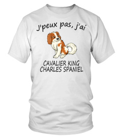 J'AI CAVALIER KING CHARLES SPANIEL