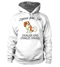 J'AI CAVALIER KING CHARLES SPANIEL