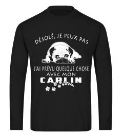 CARLIN - OFFRE SPÉCIALE ET LIMITÉE