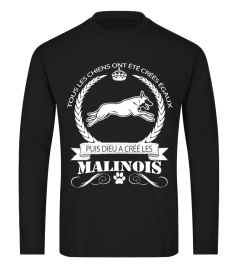 MALINOIS - OFFRE SPÉCIALE ET LIMITÉE