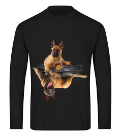 Belgian Malinois Dreaming