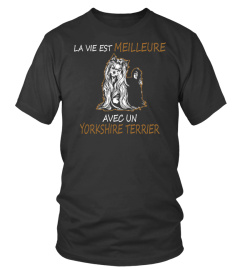 YORKSHIRE TERRIER -  OFFRE LIMITÉE