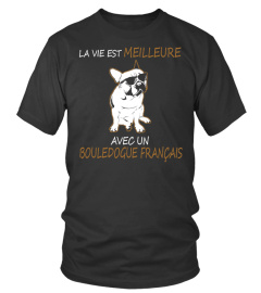 BOULEDOGUE FRANÇAIS - OFFRE LIMITÉE