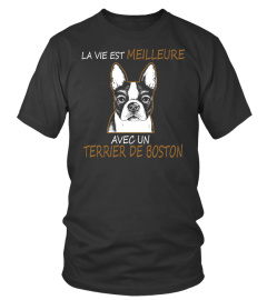 TERRIER DE BOSTON  -  OFFRE LIMITÉE