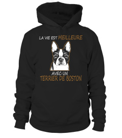 TERRIER DE BOSTON  -  OFFRE LIMITÉE