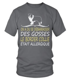 BORDER COLLIE  -  OFFRE LIMITÉE