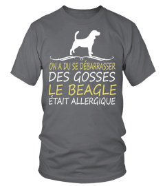 BEAGLE -  OFFRE LIMITÉE