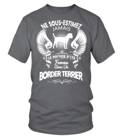 BORDER TERRIER  -  OFFRE LIMITÉE