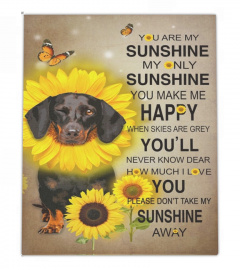 dachshund My sunshine