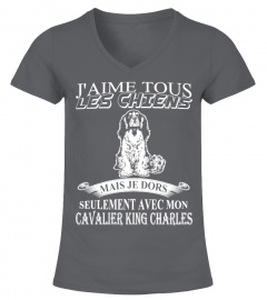 CAVALIER KING CHARLES T-shirt Offre spéciale