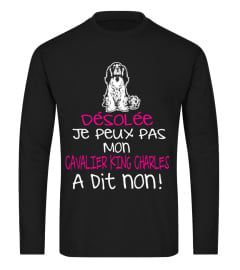 CAVALIER KING CHARLES T-shirt Offre spéciale