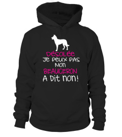 BEAUCERON T-shirt