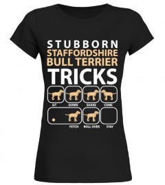 Staffordshire Bull Terrier Stubborn
