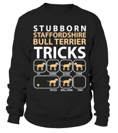 Staffordshire Bull Terrier Stubborn