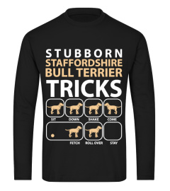 Staffordshire Bull Terrier Stubborn