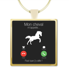 Mon cheval