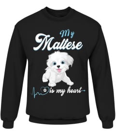 CUTE MY MALTESE IS MY HEART FOR GIFT LOV