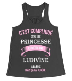 C'est compliqué d'être une princesse et Ludivine à la fois mais ca va je gère cadeau noël anniversaire humour noel drôle fille idée cadeaux femme