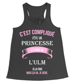 C'est compliqué d'être une princesse et L'ulm à la fois mais ca va je gère cadeau noël anniversaire humour noel drôle fille idée cadeaux femme