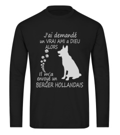 Berger hollandais- Limited Edition