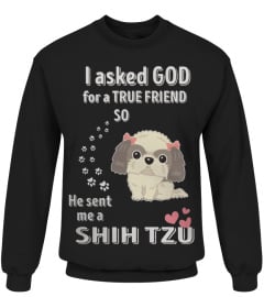 CUTE I ASKED GOD SHIH TZU DOG FUNNY GIFT