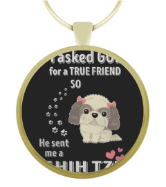 CUTE I ASKED GOD SHIH TZU DOG FUNNY GIFT