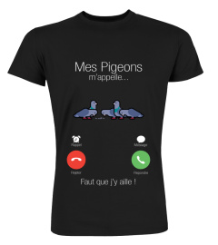 Mes Pigeons