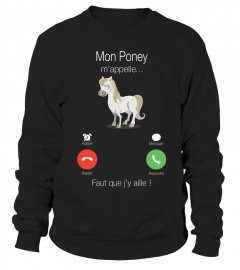 Mon Poney