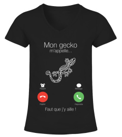 Mon Gecko