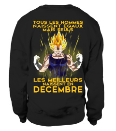 VEGETA - DECEMBRE