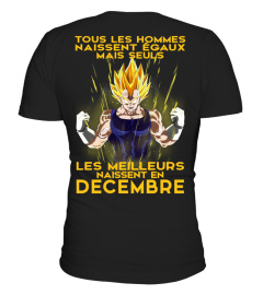 VEGETA - DECEMBRE