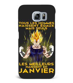 VEGETA-JANVIER