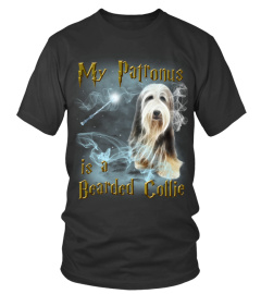 Bearded Collie