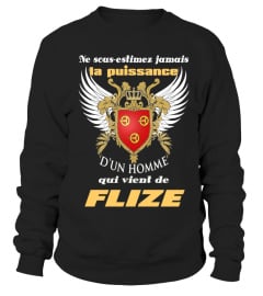 FLIZE