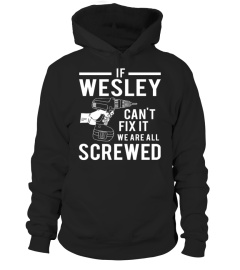 If Wesley can't fix it