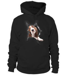 Basset Hound 3D