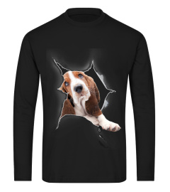 Basset Hound 3D