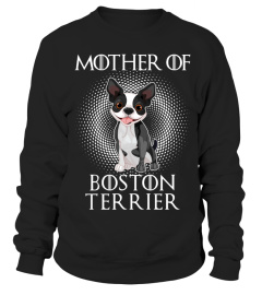 Boston Terrier