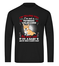 Pembroke welsh corgi