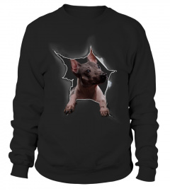 Mexican Hairless Dog 3D