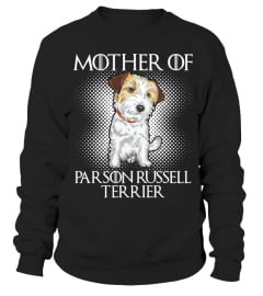 Parson Russell Terrier