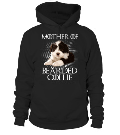 Bearded Collie