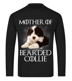 Bearded Collie