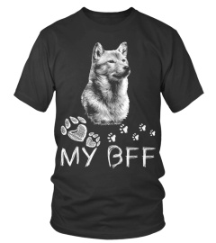 Shiba Inu BFF