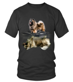 Keeshond