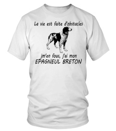 EPAGNEUL BRETON -  ÉDITION COLLECTOR